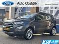 Ford EcoSport 1.0 EcoBoost Titanium 125PK Afn. Trekhaak Winterpa Grijs - thumbnail 1