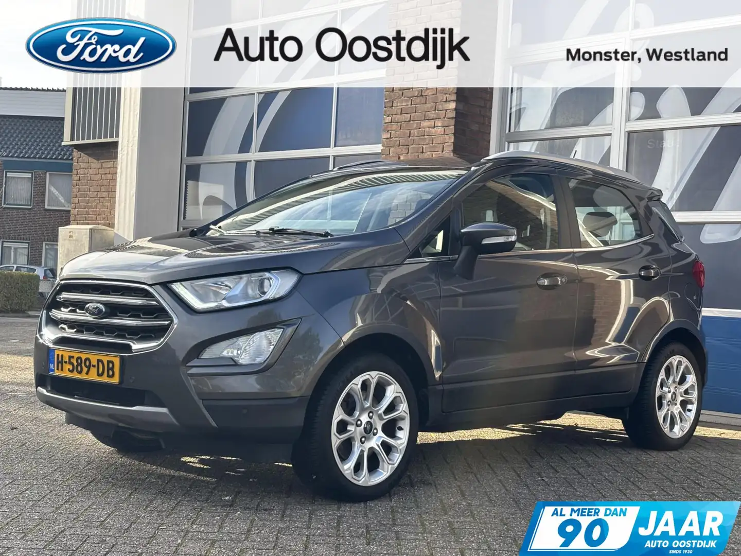 Ford EcoSport 1.0 EcoBoost Titanium 125PK Afn. Trekhaak Winterpa Grijs - 1