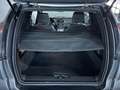 Casalini M20 Sport, Klima, DCI, Multimedia, RFK, Inkl Lieferung Argent - thumbnail 22