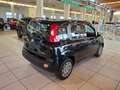 Fiat Panda 1.0 FireFly S&S Hybrid - PROMO K73 Zwart - thumbnail 4