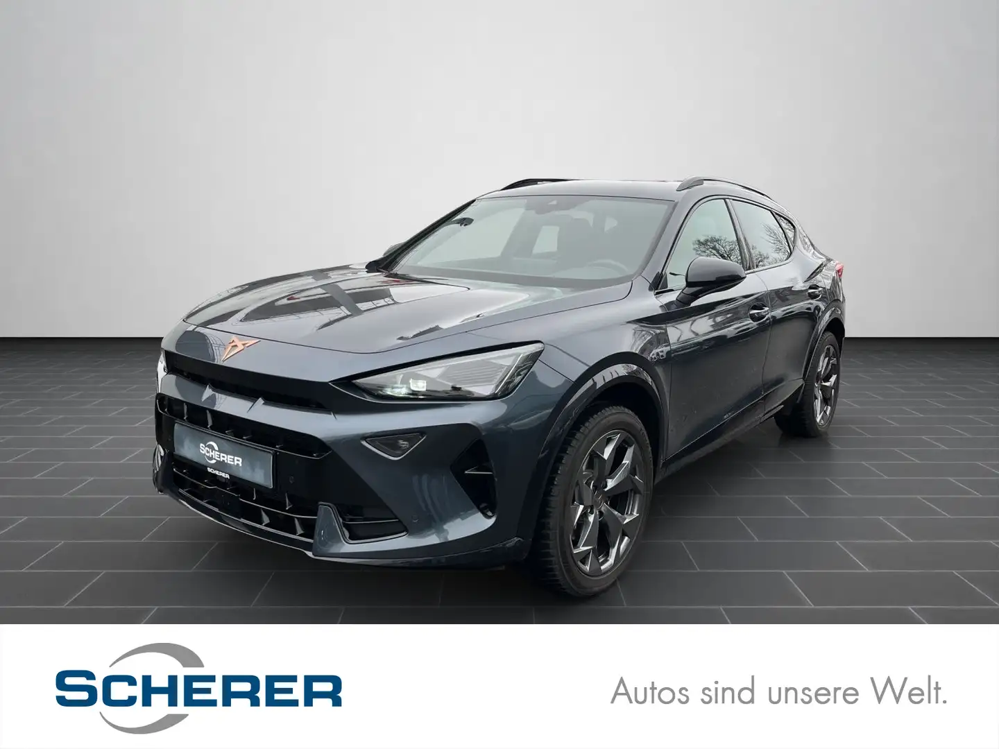 CUPRA Formentor 1.5 eTSI Gris - 1