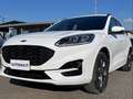 Ford Kuga 2.5 Plug In Hybrid 225 CV CVT 2WD ST-Line X Blanc - thumbnail 10