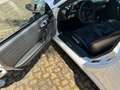 Porsche 911 997 3.6 GT3 (MK1)- TUTTA PRIMA VERNICE Bianco - thumbnail 5