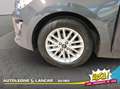 Kia Rio 1.2 Style GPL 82cv 1 PROPRIETARIO Grigio - thumbnail 14