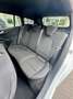 Ford Focus Traveller 1,0 EcoBoost Hybrid ST-Line - 2 Jahre... Weiß - thumbnail 17