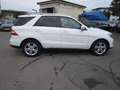 Mercedes-Benz ML 250 CDI BlueTec Weiß - thumbnail 5