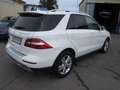 Mercedes-Benz ML 250 CDI BlueTec Weiß - thumbnail 4