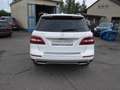 Mercedes-Benz ML 250 CDI BlueTec Weiß - thumbnail 17