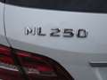 Mercedes-Benz ML 250 CDI BlueTec Weiß - thumbnail 21