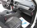Mercedes-Benz ML 250 CDI BlueTec Weiß - thumbnail 9