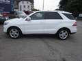 Mercedes-Benz ML 250 CDI BlueTec Weiß - thumbnail 25