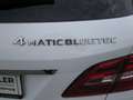 Mercedes-Benz ML 250 CDI BlueTec Weiß - thumbnail 18