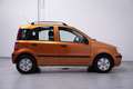 Fiat Panda 1.2 Edizione Cool Naranja - thumbnail 5