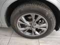 Ford Kuga 3ª serie - Kuga 1.5 EcoBoost 150 CV 2WD ST-Line X Grijs - thumbnail 5