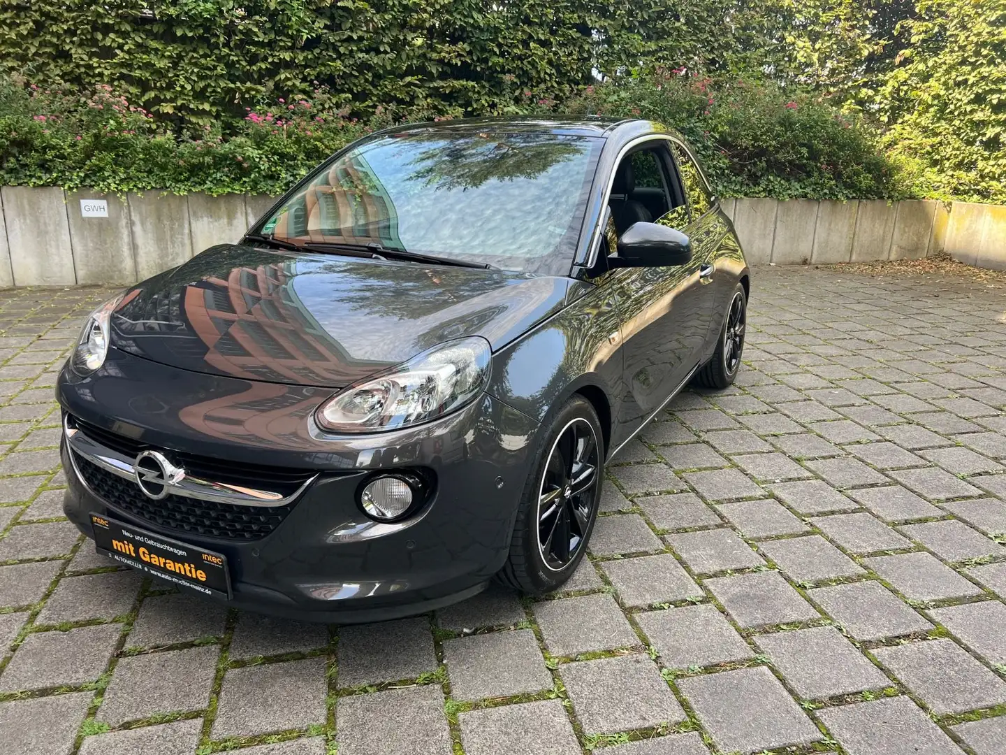 Opel Adam Glam ecoFlex Grau - 1