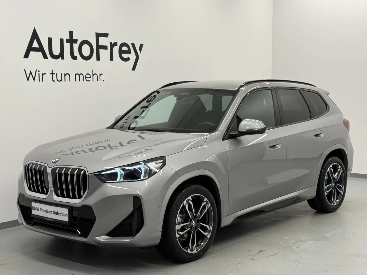 BMW X1 X1 xDrive20d Argent - 1