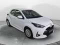 Toyota Yaris Yaris 1.5 Hybrid 5 porte Active Bianco - thumbnail 3