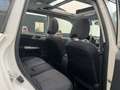 Subaru Forester Forester 2.0D XS Trend - thumbnail 6