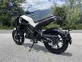 Benelli Leoncino Leoncino 125 Gris - thumbnail 5
