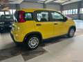 Fiat Panda 1.0 FireFly S&S Hybrid Jaune - thumbnail 6