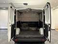 Renault Trafic Passenger Expression dCi 120 Weiß - thumbnail 24