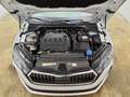 Skoda Octavia Combi Tour 2.0 TDI DSG Standheizung AHK Weiß - thumbnail 20