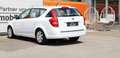 Kia Ceed SW / cee'd SW *Lpg Gasanlage*Inspektion Neu* Weiß - thumbnail 5