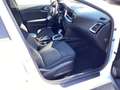 Kia Ceed / cee'd Ceed 1,5 T-GDI DCT Vision Automa Rueckfahrkamera Alb - thumbnail 10