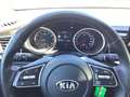 Kia Ceed / cee'd Ceed 1,5 T-GDI DCT Vision Automa TEMP NAVI PDC Blanco - thumbnail 12