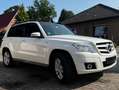 Mercedes-Benz GLK 220 GLK 220 CDI DPF BlueEFFICIENCY bijela - thumbnail 1