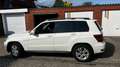 Mercedes-Benz GLK 220 GLK 220 CDI DPF BlueEFFICIENCY bijela - thumbnail 4