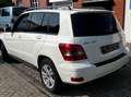 Mercedes-Benz GLK 220 GLK 220 CDI DPF BlueEFFICIENCY bijela - thumbnail 5