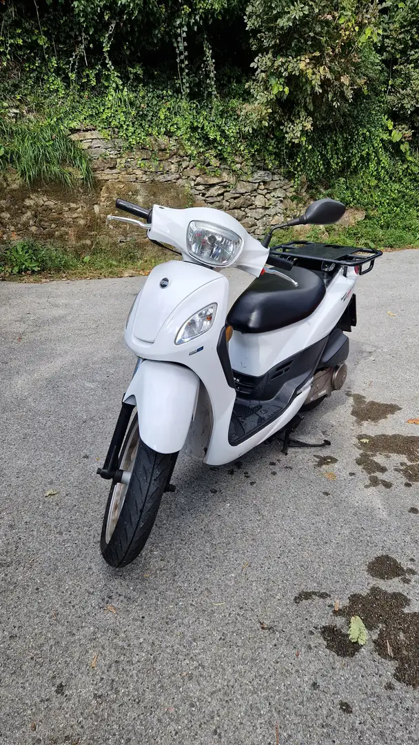 SYM Symphony 125 Cargo Blanc - 2