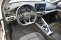 Audi A4 Limo 35TDI Advanced S-tronic LED~DAB~RFKamera Blanc - thumbnail 16