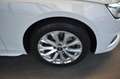 Audi A4 Limo 35TDI Advanced S-tronic LED~DAB~RFKamera Blanc - thumbnail 19