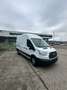Ford Transit Bus L3/350 - thumbnail 2