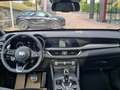 Alfa Romeo Stelvio 2.2 Turbodiesel 210 CV AT8 Q4 Veloce Nero - thumbnail 8