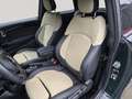 MINI Cooper Resolute Edition + 2Jahre-NEXT-GARANTIE Groen - thumbnail 16