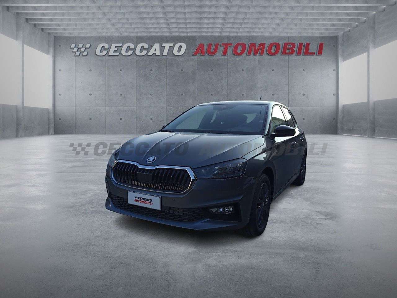 Skoda Fabia 1.0 tsi Selection 95cv