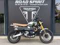 Triumph Scrambler - thumbnail 1