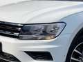 Volkswagen Tiguan 2.0 TDI Comfortline KAMERA/ACC/PLA/MFL/ Blanc - thumbnail 16