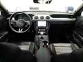 Ford Mustang Fastback 5.0 Ti-VCT V8 BULLITT Magneride Zielony - thumbnail 12
