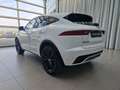 Jaguar E-Pace D165 R-Dynamic SE AWD A KlimaA LM Weiß - thumbnail 6