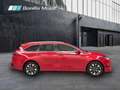 Kia Ceed / cee'd 1.0 T-GDI 74KW STYLE EDITION TOURER 100 5P - thumbnail 9