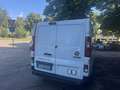 Fiat Talento 1.6 MJT 120CV PC-TN FURG 12q ALLESTIMENTO INTERNO Blanc - thumbnail 6