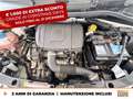Fiat 500 1.0 hybrid pop 70cv Bianco - thumbnail 13