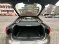 BMW X6 xDrive 30d LED, Leder Grau - thumbnail 19