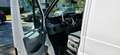 Ford Transit *2.HAND*TÜV 01/2027*ALLWETTER*VIELES NEU* Weiß - thumbnail 10