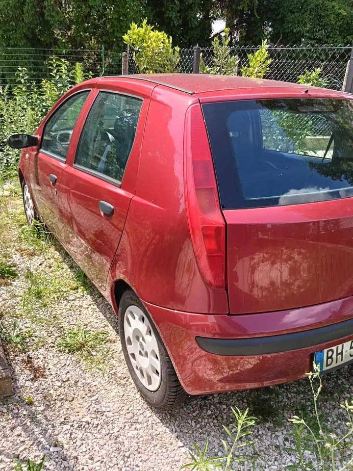 Fiat Punto 1.200 benzina, foto 2