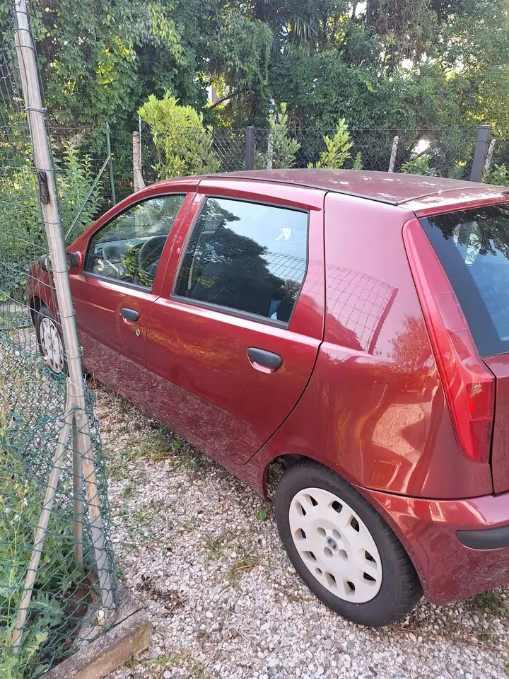Fiat Punto 1.200 benzina, foto 7